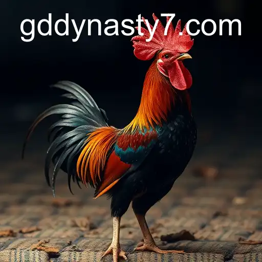 The Complex World of Cockfighting: A Deep Dive into GDDYNASTY